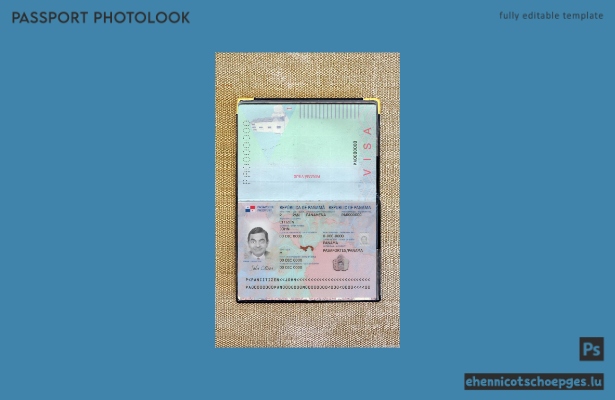 Panama-Pass (neu ab 2019) – Beispielansicht